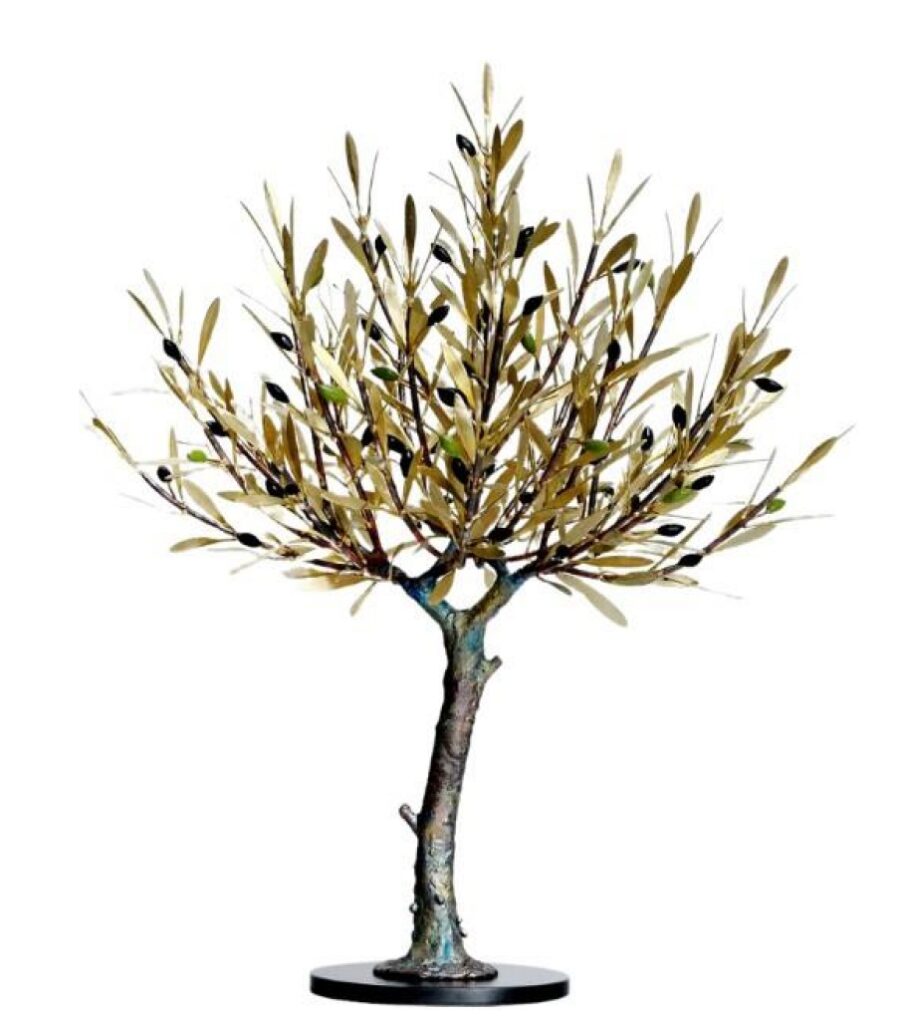 Olive Tree 50 cm
