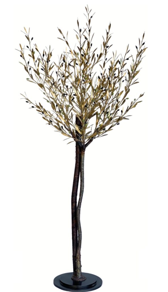 Olive sapling 80 cm