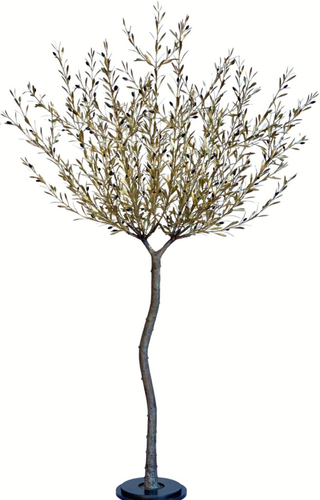 Olive tree 185 cm