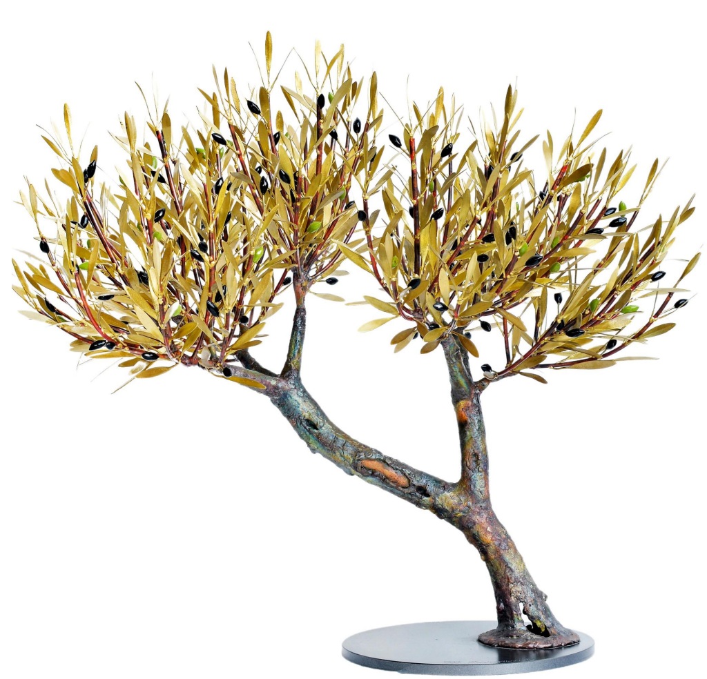 Olive tree with double trunk 58 cm