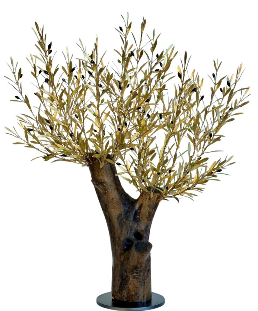 Olive tree with wooden trunk 80 cm