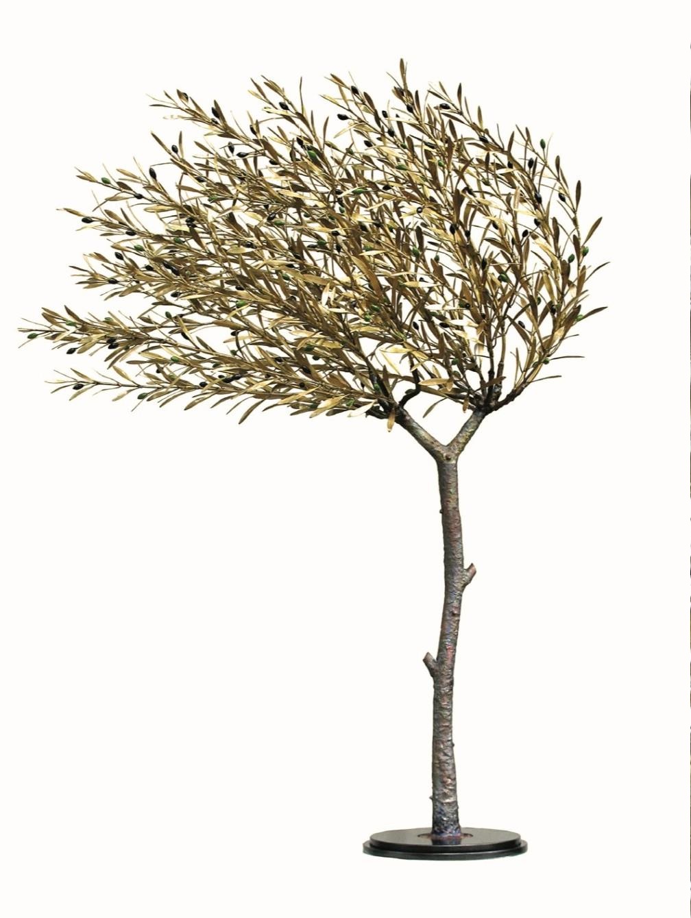 Windswept olive tree 180 cm