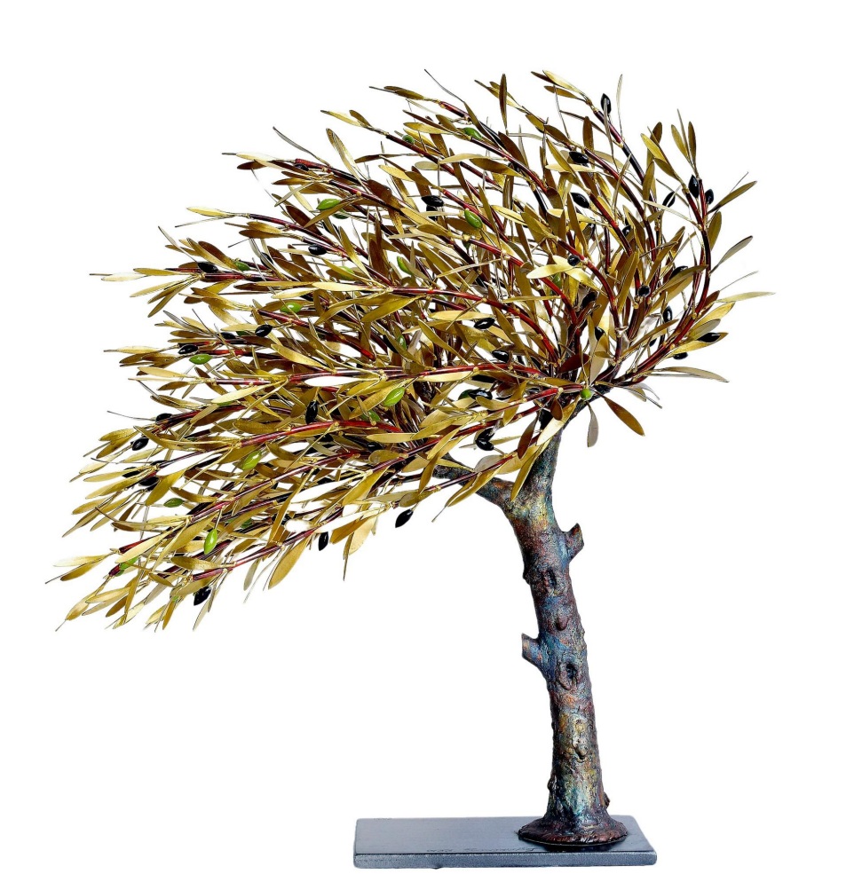Windswept olive tree 52 cm
