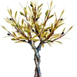 Olive Tree of Love (H40) — Aggelos & Filippos Panayiotidis