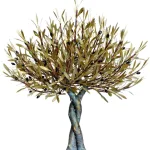 Olive Tree of Love (H57) — Aggelos & Filippos Panayiotidis