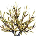 Olive Tree of Love (H40) — Aggelos & Filippos Panayiotidis — vue 2