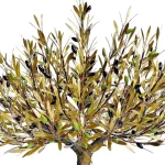 Olive Tree with Ladder (H55) — Aggelos & Filippos Panayiotidis — vue 2