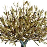 Olive Tree of Love (H57) — Aggelos & Filippos Panayiotidis — vue 2