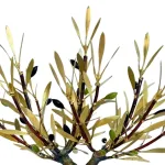 Olive Tree with Ladder (H34) — Aggelos & Filippos Panayiotidis — vue 2