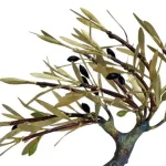 Olive Tree wind (H30) — Aggelos & Filippos Panayiotidis — vue 2