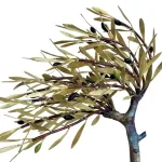 Windswept olive tree (H33) — Aggelos & Filippos Panayiotidis — vue 2